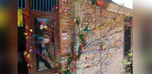 Pantau Pohon Natal, Panitia Keliling Rumah Warga dan Gereja