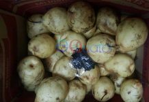 Terima Kiriman Sabu Lewat Paketan Buah