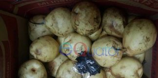 Terima Kiriman Sabu Lewat Paketan Buah