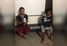 Curi Tiga Ekor Sapi di Kebun Sawit