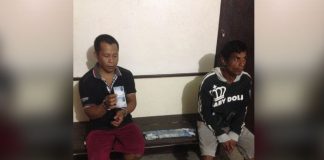 Curi Tiga Ekor Sapi di Kebun Sawit