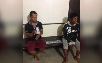 Curi Tiga Ekor Sapi di Kebun Sawit