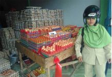 Telur Ayam Malaysia Masuk ke Sintang