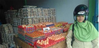Telur Ayam Malaysia Masuk ke Sintang