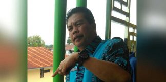 Cek Agen Telur Ayam Malaysia di Sintang