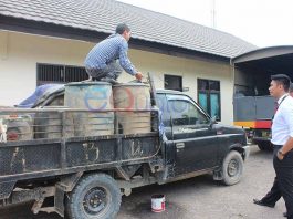 Penimbun 1.760 Liter Solar Subsidi Dibekuk