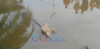 Siapa Tega Buang Bayi ke Sungai Tangaran?