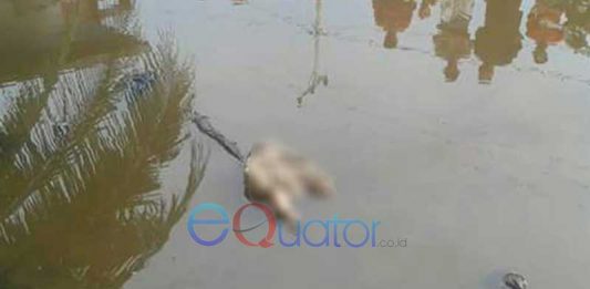 Siapa Tega Buang Bayi ke Sungai Tangaran?