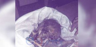 Tulang Belulang Siapa di Hutan Mekar?