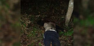 Pemeriksaan Saksi, Kepala Honorer SMA 01 Kembayan Belum Ditemukan