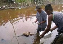 Biadab, Bayi Dibuang ke Sungai
