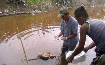 Biadab, Bayi Dibuang ke Sungai