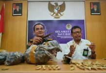 Dari Gaharu Hingga Taring Beruang Madu