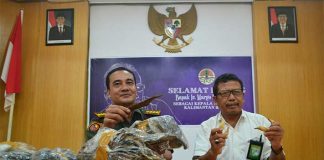 Dari Gaharu Hingga Taring Beruang Madu