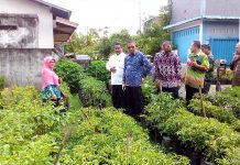 Tak Khawatir Cabai Mahal, Sulap Pekarangan Jadi Kebun