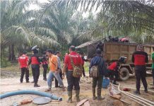 Sedot Emas di Kebun Sawit