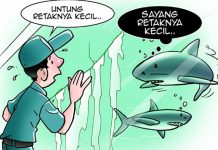 Saat Akuarium Berisi Hiu Bocor