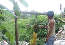 Perbaiki Infrastruktur dan Kualitas Karet