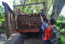 Polisi Panggil Pemilik Sawmill