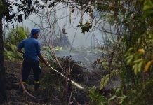 Diperkirakan Lima Hektar Lahan Terbakar