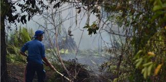 Diperkirakan Lima Hektar Lahan Terbakar