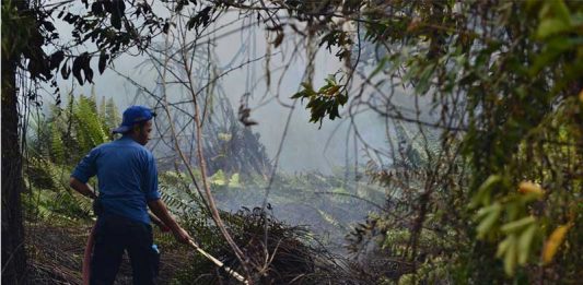 Diperkirakan Lima Hektar Lahan Terbakar