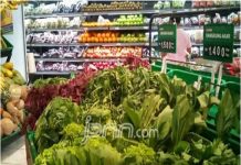 Harga Sayur dan Tarif Transportasi Udara Picu Deflasi di Kalbar