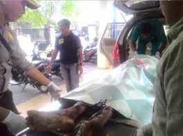 Tak Bernyawa di Ruko Pasar Puring Siantan