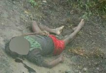 Neneng Membusuk di Kebun Sawit