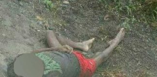 Neneng Membusuk di Kebun Sawit