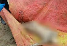 Mayat Siapa Terdampar di Teluk Limau Manis?