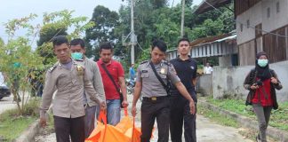 Mayat Pria Dimakan Belatung di Kebun Sawit