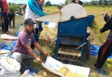 Panen Padi Unggul Buat Kesejahteraan Ponpes