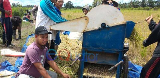 Panen Padi Unggul Buat Kesejahteraan Ponpes