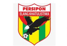 Tidur Panjang atau Masih Bisa Bangkit dan Terbang?