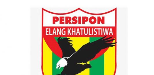 Tidur Panjang atau Masih Bisa Bangkit dan Terbang?