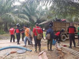 Nambang Emas di Kebun Sawit, Dicokok Polisi