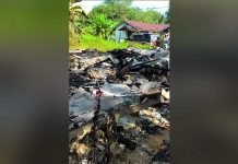 Berharap Bantuan Pemerintah