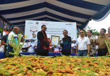 Dipatenkan, 2017 Pisang Goreng Pontianak Pecahkan Rekor MURI