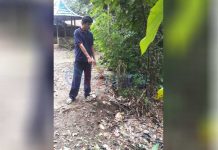 Hoax Gunung Mandering Longsor, Karena Sawit?