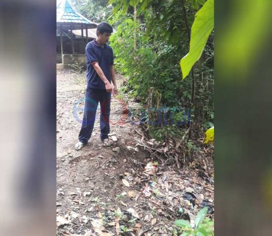 Hoax Gunung Mandering Longsor, Karena Sawit?