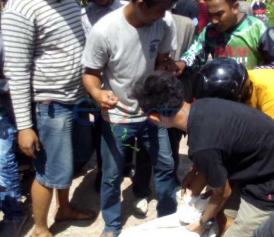 Biawak Kawin di Kota Bikin Heboh Warga