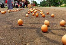 Menikmati Bayangan yang Menghilang