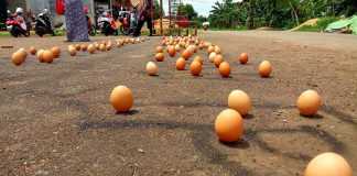 Menikmati Bayangan yang Menghilang