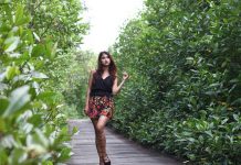 Hutan Mangrove Setingga Asin Memikat Wisatawan