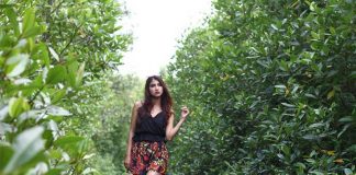 Hutan Mangrove Setingga Asin Memikat Wisatawan