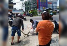 Pembangunan, Hewan Liar Kian Tergusur dari Habitatnya