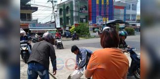 Pembangunan, Hewan Liar Kian Tergusur dari Habitatnya