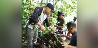 Batu Candi dan Batu Perahu Tersembunyi di Bukit Peramas
