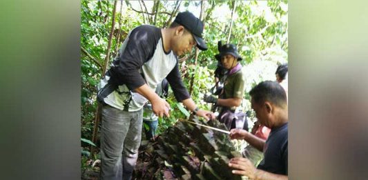 Batu Candi dan Batu Perahu Tersembunyi di Bukit Peramas